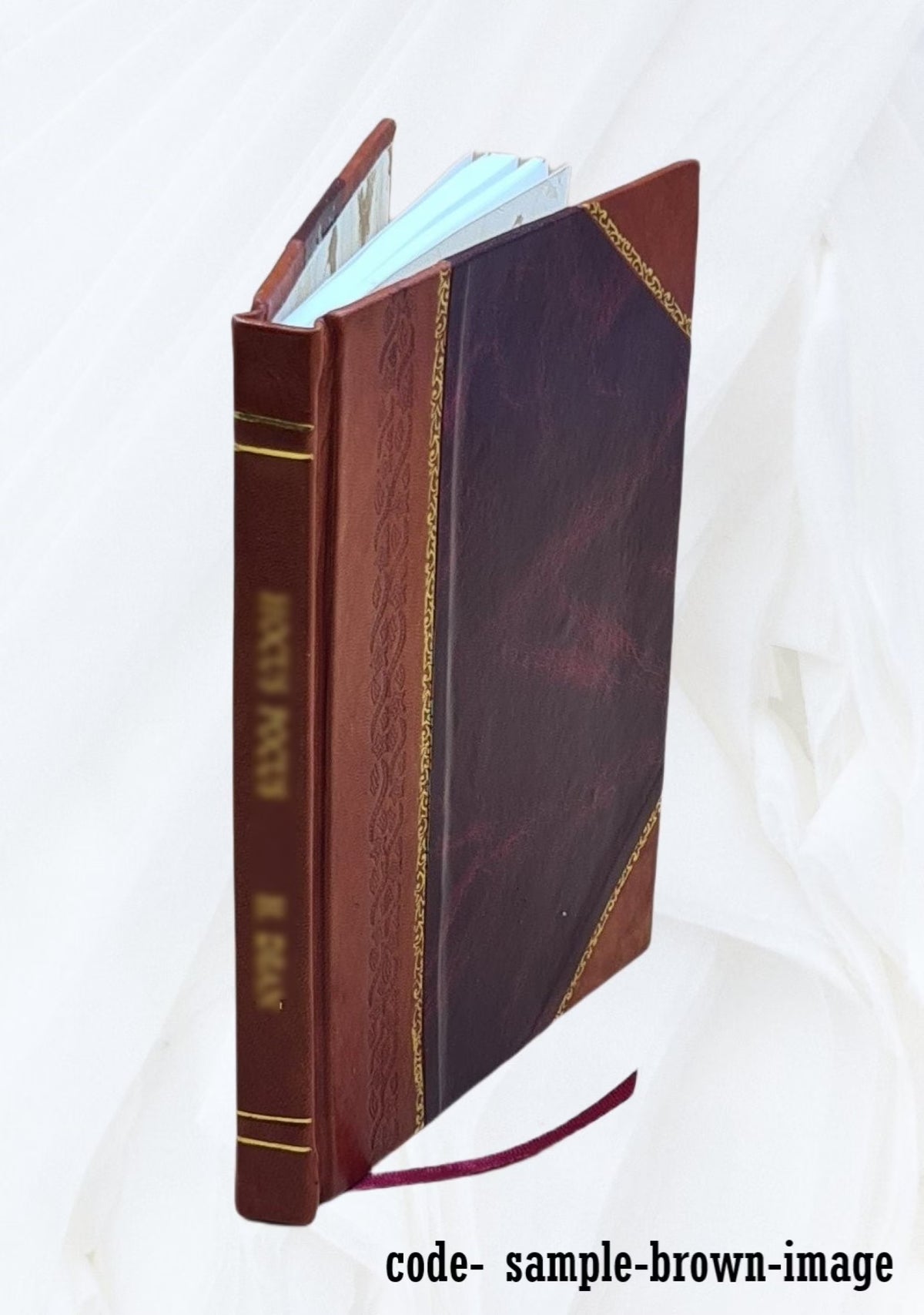 Temperance et intemperance 1856 Leather Bound P298331