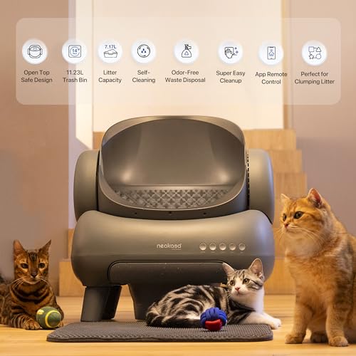 Open-Top Self Cleaning Automatic Cat Litter Box K20014