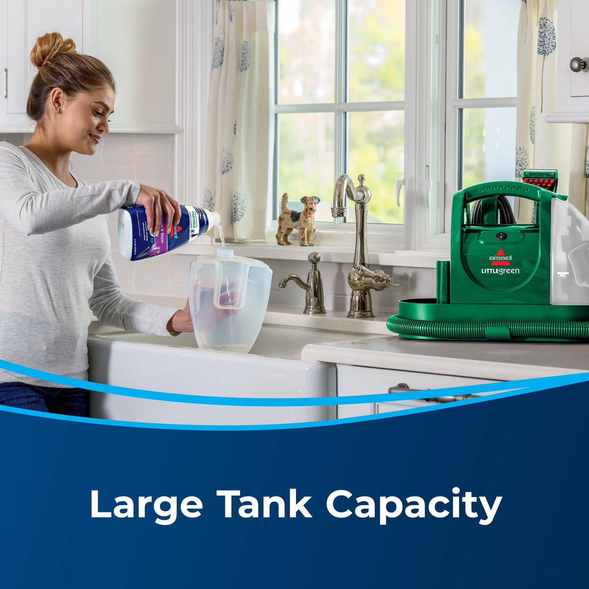 Portable Spot and Stain Cleaner C87194