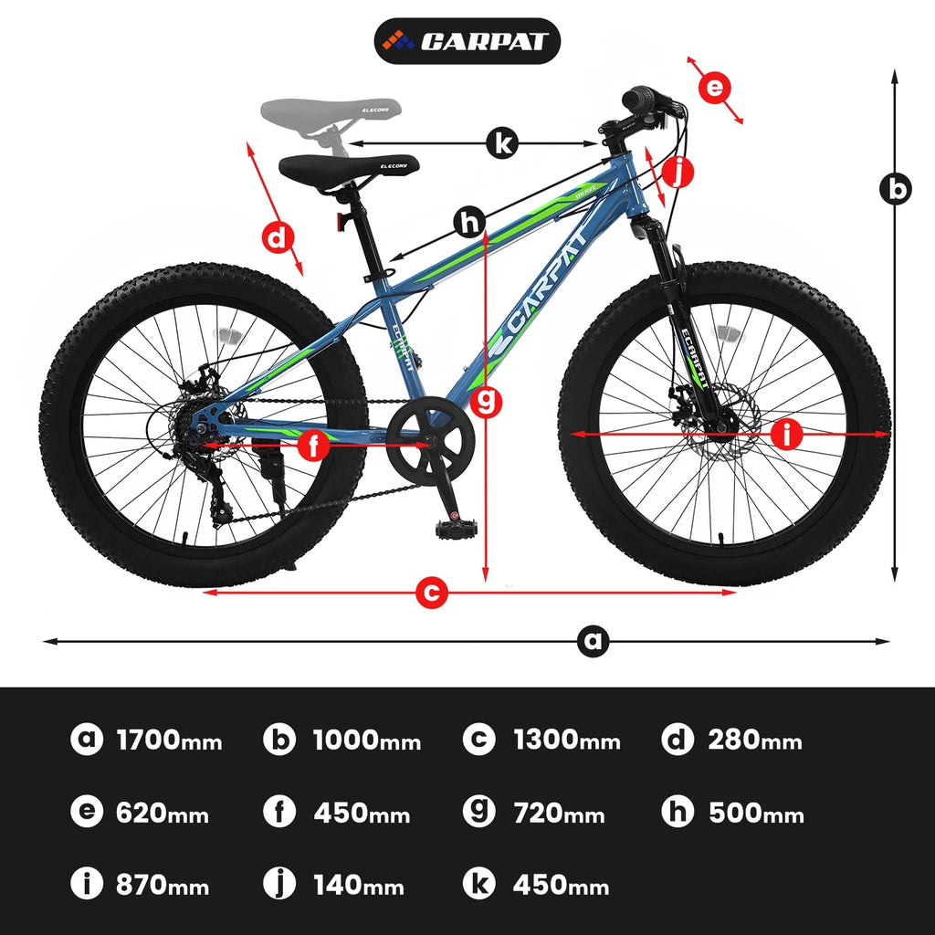 24 inch Mountain Bike with Fat Tires T201