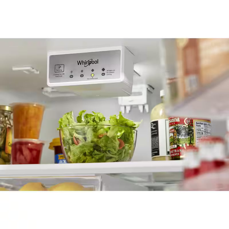 Black Top Freezer Refrigerator D6216