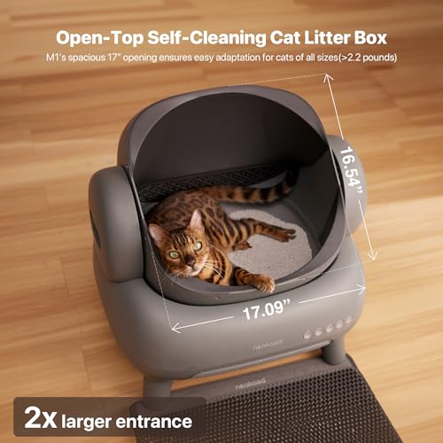 Open-Top Self Cleaning Automatic Cat Litter Box K20014