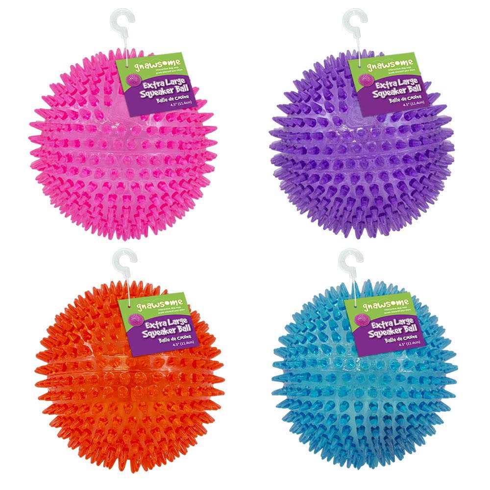 Squeaker Ball Dog Toy N13762