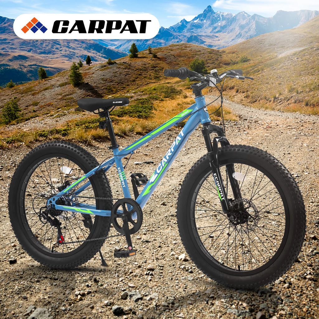 24 inch Mountain Bike with Fat Tires T201