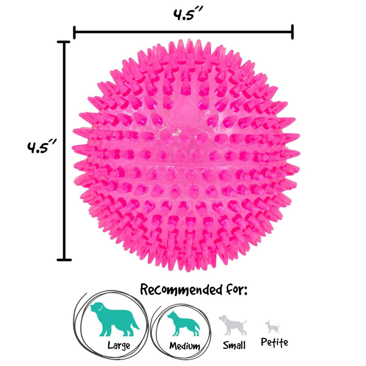 Squeaker Ball Dog Toy N13762