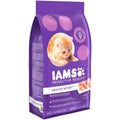 Dry Kitten Food R5879