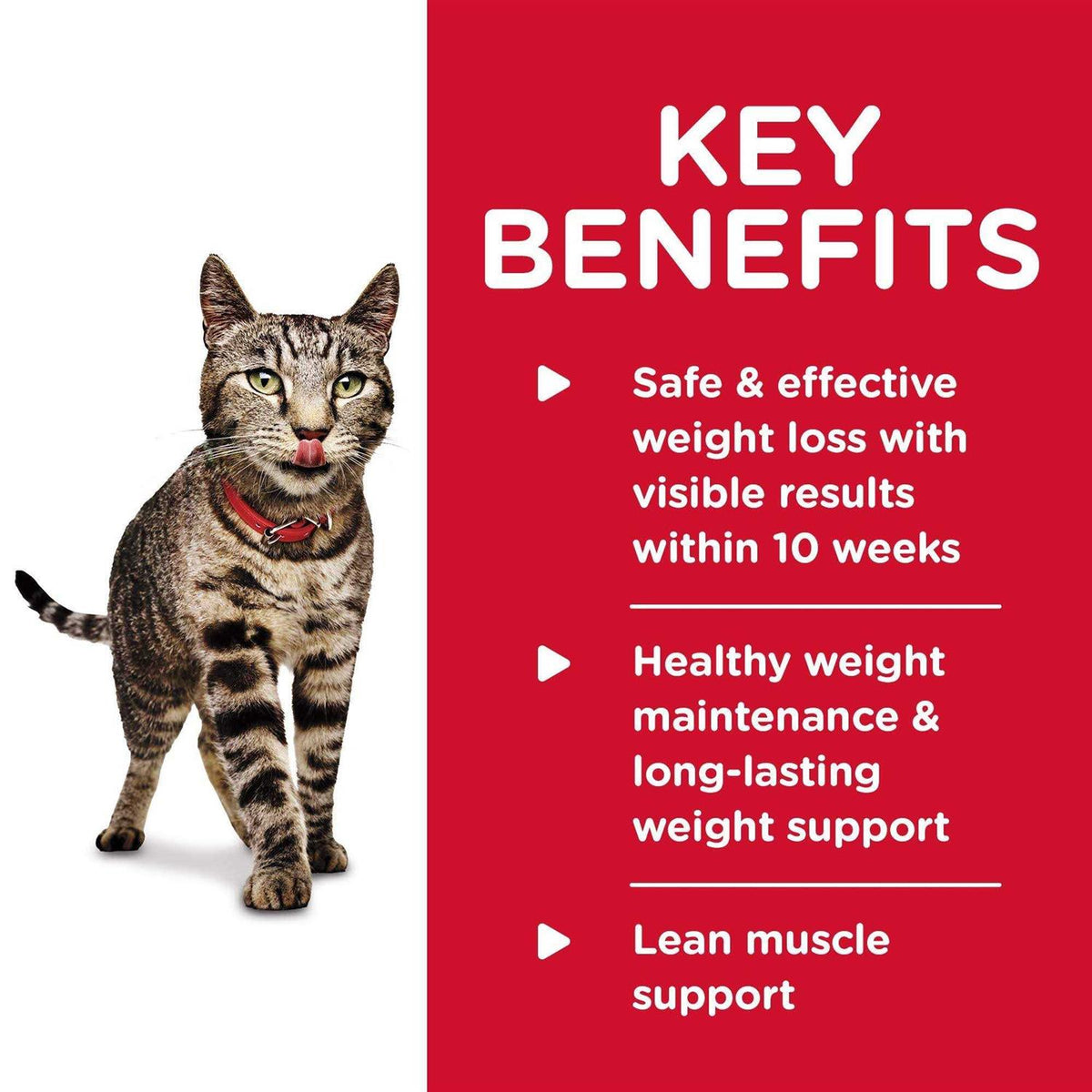 Adult Perfect Weight Roasted Vegetable & Chicken Medley Cat Food U921432
