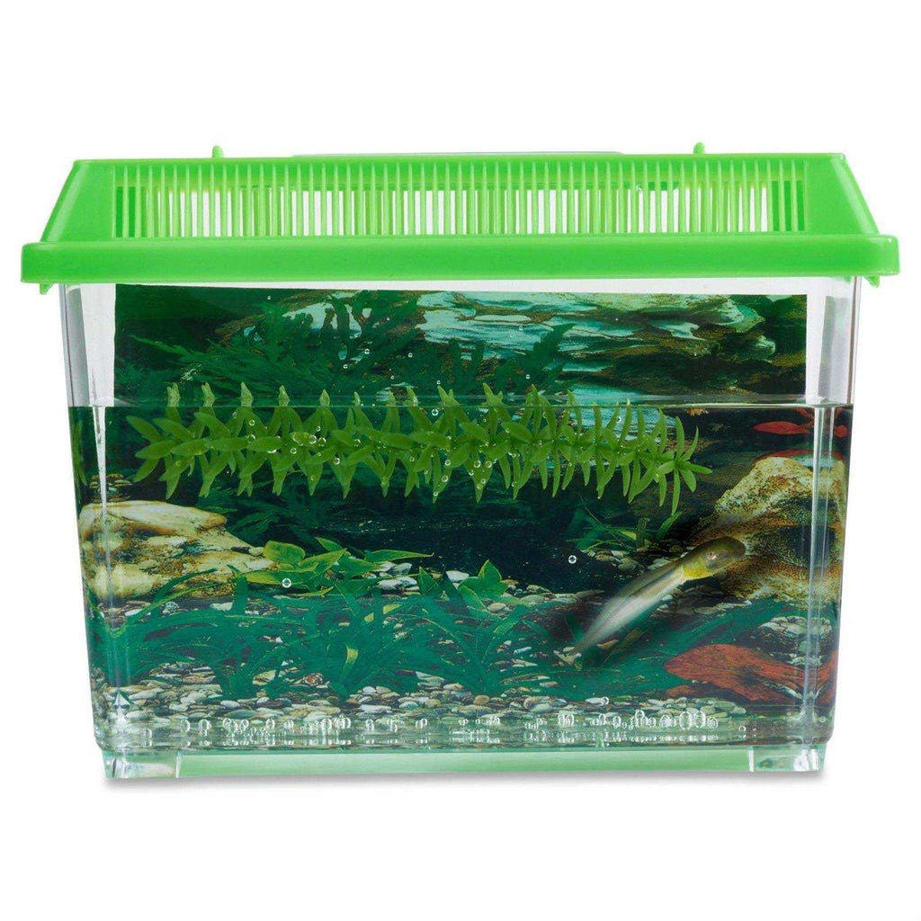 1-Gallon Frog Growing Kit L5767