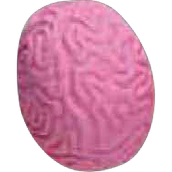 Brain Pencil Top Eraser K182880