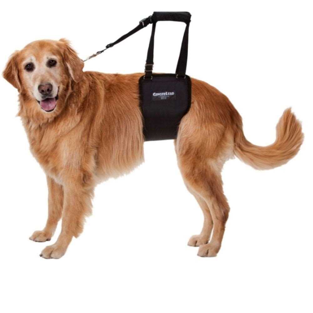 Dog Support Rehabilitation Harness R394891