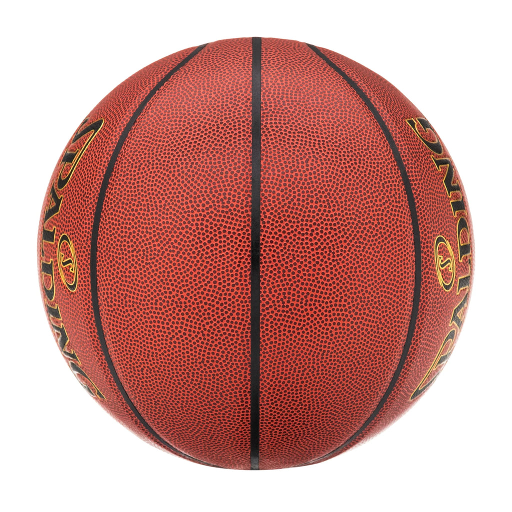 Indoor and Outdoor Basketballs 29.5 In. T281009