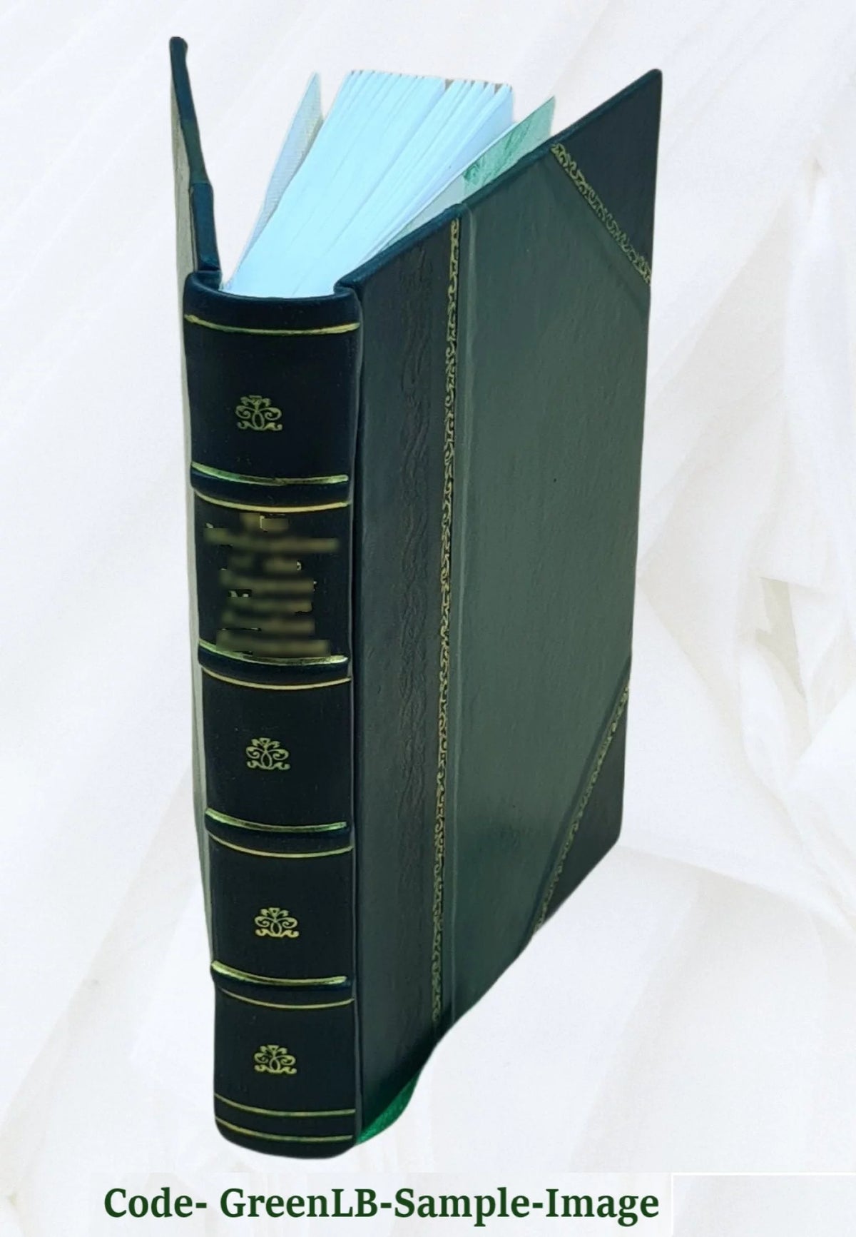 Leather Bound Book O644