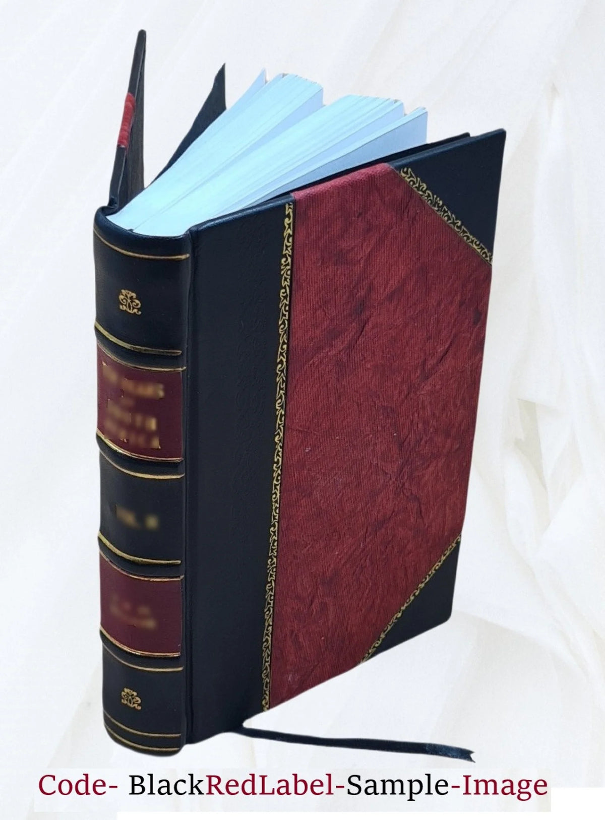 Leather Bound Book O644