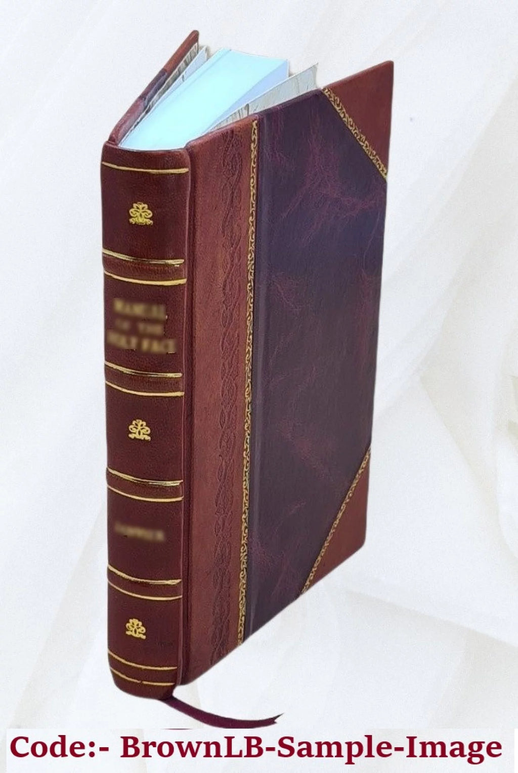 Leather Bound Book O644