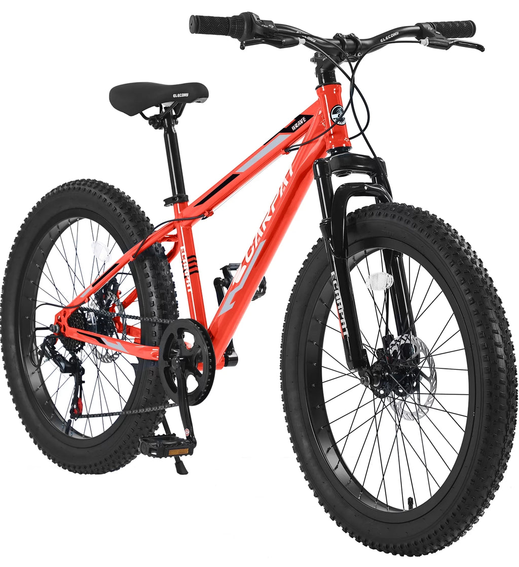 24 inch Mountain Bike with Fat Tires T201
